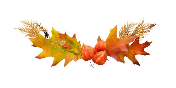 落とされた葉の秋のフレーム — ストック写真