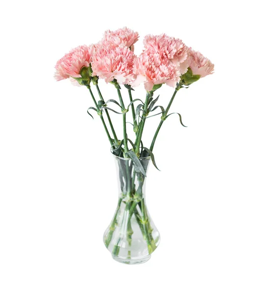 Bouquet of pink carnation flowers — Stock Photo, Image