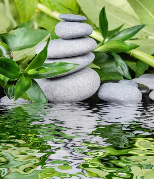 Spa-koncept med zen sten og bambus - Stock-foto
