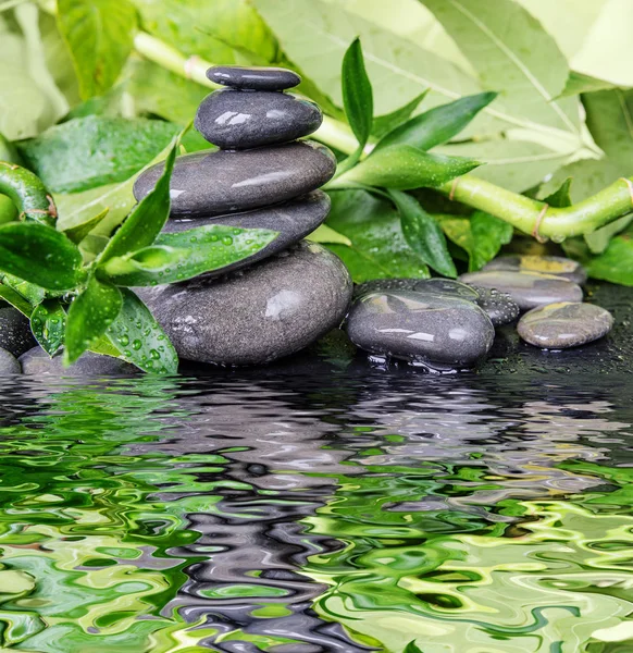 Koncepcja spa zen stones i bambus — Zdjęcie stockowe