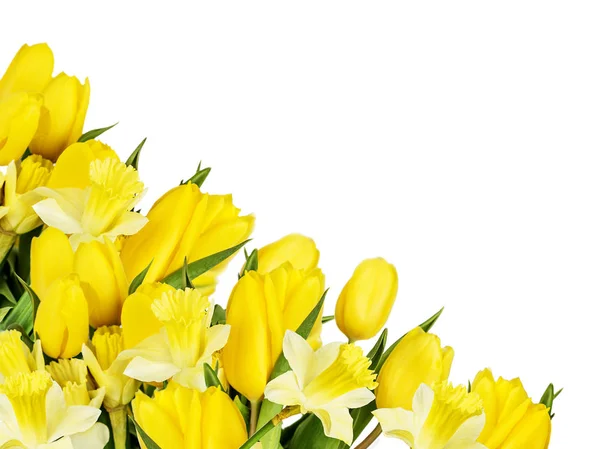 Buquê de tulipas amarelas e narcisos isolados em um backg branco — Fotografia de Stock