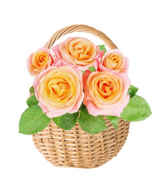Beyaz bir backgroun üzerinde sarı-pembe gül çiçekleri ile Hasır sepet