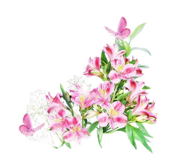 Alstroemeria flowers on a white background — Stock Photo, Image