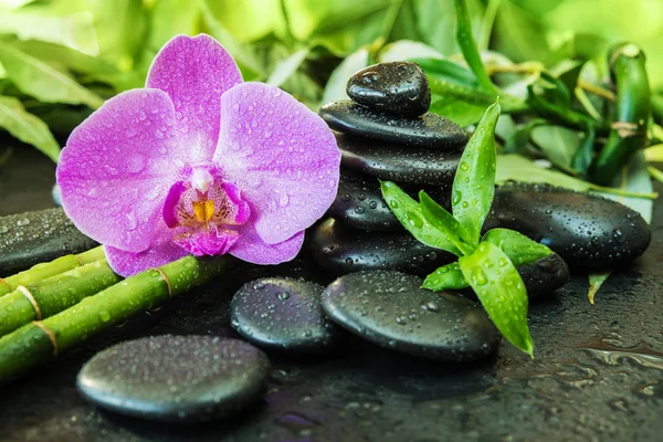 Wellness-Konzept mit Zen-Steinen, Orchideenblume und Bambus — Stockfoto