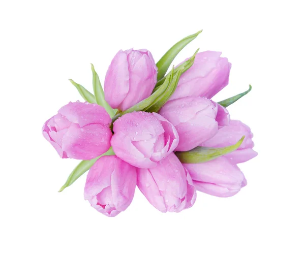 Tulpen Blumen auf weißem Hintergrund — Stockfoto