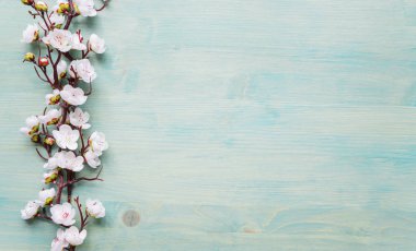 Mavi ahşap arkaplanda beyaz çiçekler