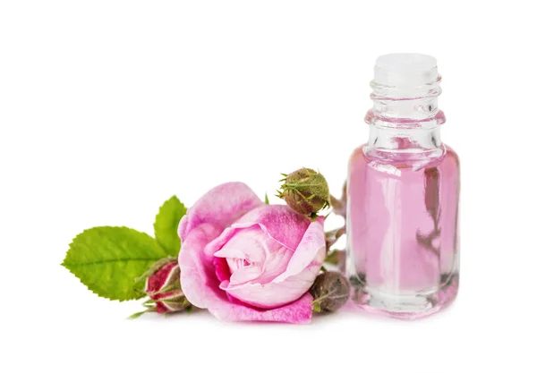 Rose éterický olej — Stock fotografie