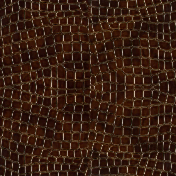 Sorunsuz bir desen olarak timsah derisi — Stok fotoğraf