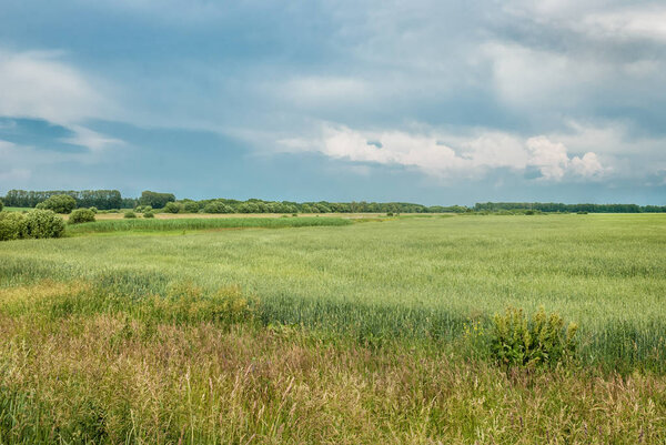 Beautiful rural landscape