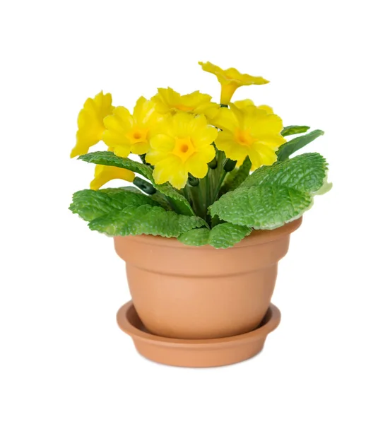 Ceramiczny doniczka z żółtymi kwiatami pierwiosnka — Zdjęcie stockowe
