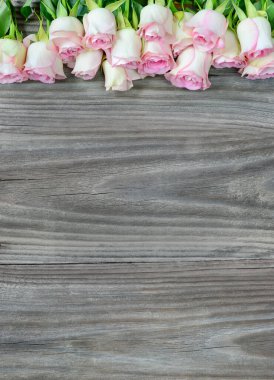Eski gri ahşap arka planda pembe güllerin yatay sınırı