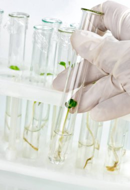 Bir tüp ile biyolojik malzeme closeup tutan lastik eldiven el