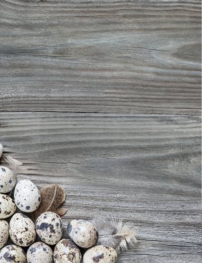 Birkaç benekli bıldırcın yumurtası eski ahşap tahtaların arka planında mesaj için yeri var.