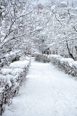 Karla kaplı bir kış parkında kar yağışı olan bir ara sokakta.
