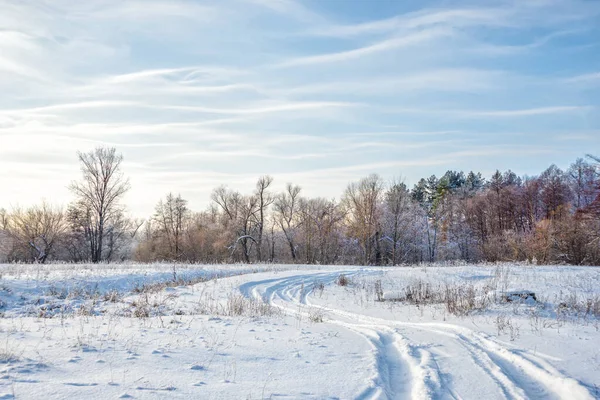 Paisagem Inverno Com Uma Estrada Extensão Branca Nevada Uma Floresta — Fotografia de Stock