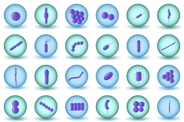 Coco púrpura, bacilo, bacterias curvas en círculos azules y verdes . — Vector de stock