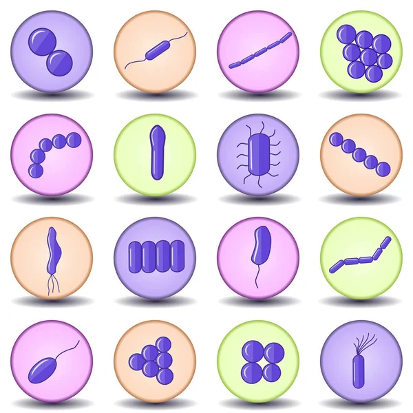 Lila coccus, bacillus, böjda bakterier i cirklar form. — Stock vektor
