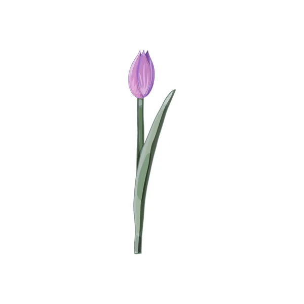 Einzeln gezeichnete Tulpe mit Aquarell-Effekt. — Stockvektor