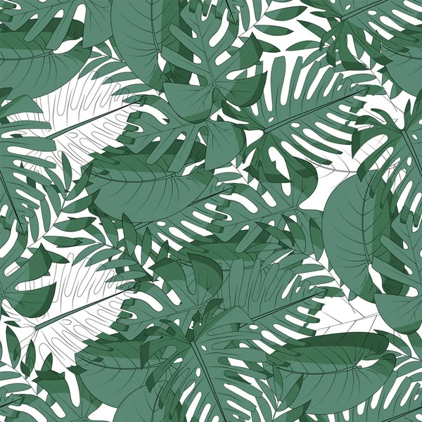 Monstera, foglie di palma, filodendro. Scheletri fogliari e foglie coloranti complete . — Vettoriale Stock