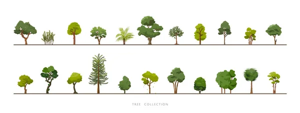 Sammlung Verschiedener Grüner Baumvektorsymbole Auf Weißem Hintergrund — Stockvektor