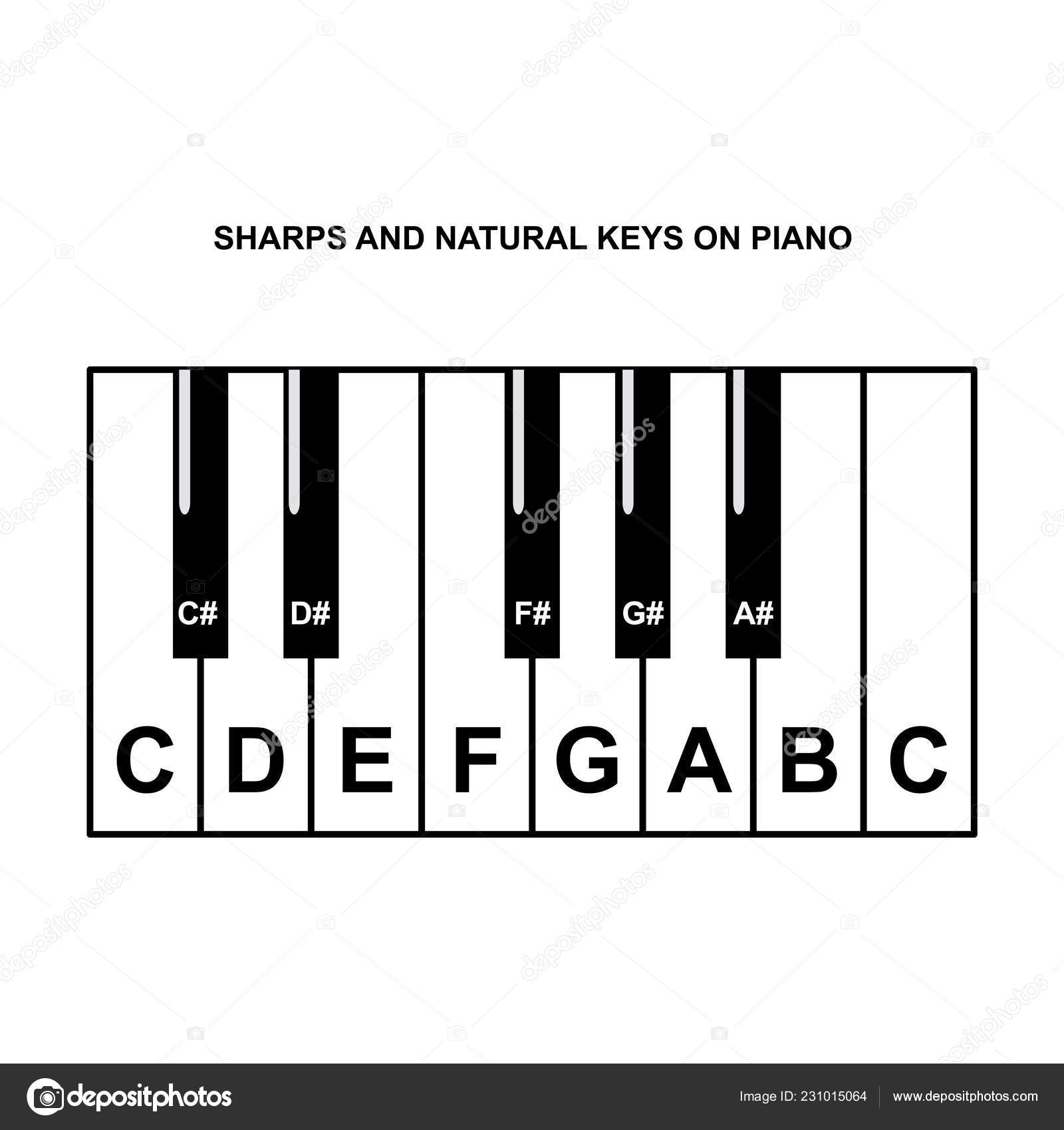 Piano Keys Chart