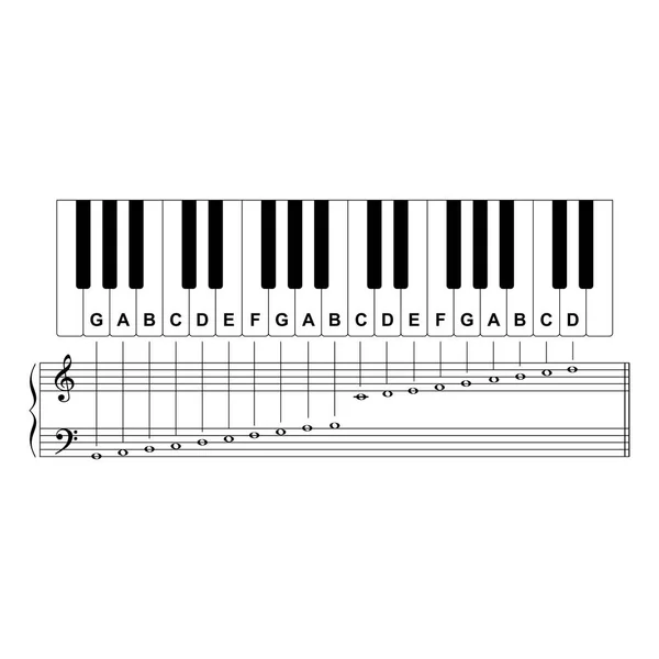 Piano Chords or piano key notes chart on white background vector illustration