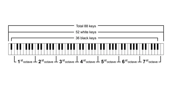 Diagrama Del Teclado Del Piano Disposición Del Teclado Del Piano — Archivo Imágenes Vectoriales