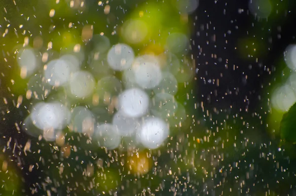 Summer rain falling over a natural blurred background of green leaves and soft focus bokeh lights. Natural defocused green background perfect for creative designs.