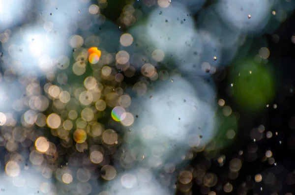 Abstract natural background of blurred leaves, soft focus bokeh lights and golden blurred water drops. Natural defocused light background, perfect for creative designs.