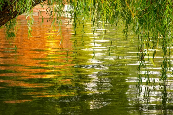 Natural watercolors painting concept background. Abstract water surface with golden buildings and lush green trees reflected on the rippling water.
