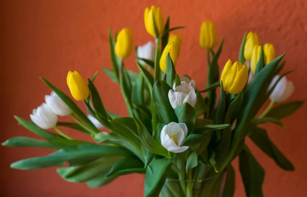 Gelbe Tulpen Weiße Tulpen Strauß Blumen Schöne Blume Orangefarbener Hintergrund — Stockfoto