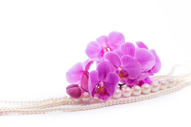 Pembe orkide ve inciler Orchid.A dalı. Tebrik kartı. Güzel kompozisyon. Beyaz arka plan üzerinde izole
