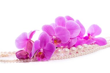 Pembe orkide ve inciler Orchid.A dalı. Tebrik kartı. Güzel kompozisyon. Beyaz arka plan üzerinde izole