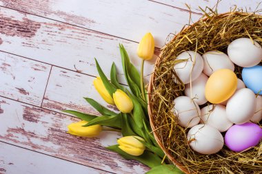 Paskalya. Saman ve Sarı laleler sepet yumurta ile sepeti.