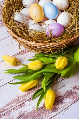 Paskalya. Saman ve Sarı laleler sepet yumurta ile sepeti.