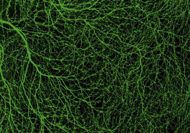 Arka planlar ve dokular. Soyut görüntü. Kontrast renkleri. Bükülmüş dalları süs