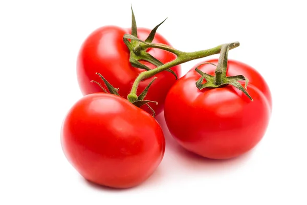 Tomates Una Rama Tomates Maduros Aislar Sobre Fondo Blancotres Tomates — Foto de Stock