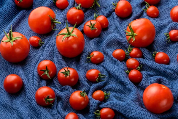Tomatoes Different Sizes Background Dark Blue Fabric — Stock Photo, Image