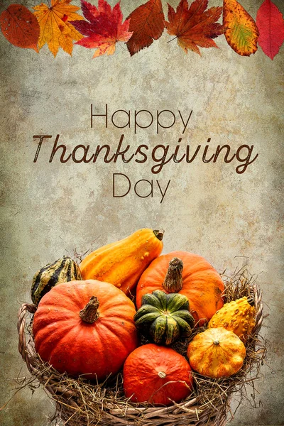 Happy Thanksgiving Day Congratulations Holiday Multicolored Pumpkins Large Basket Hay — Stock Photo, Image