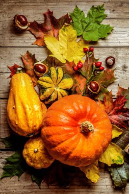 Ahşap bir arka planda balkabakları, akçaağaç yaprakları ve kestaneler. Tebrikler.