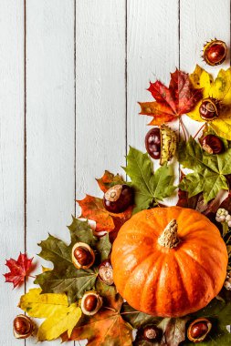 Çerçeve. Ahşap bir arka planda balkabakları, akçaağaç yaprakları ve kestaneler. Tebrikler.