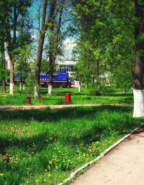Küçük Bir Tren Yeşil Çimlerde Kayboldu Nizhny Novgorod Rusya — Stok fotoğraf