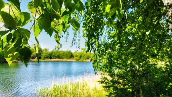 Tranquillo Lago Villaggio Circondato Una Splendida Natura Regione Nizhny Novgorod — Foto Stock