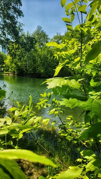 Ruhiger Dorfsee Umgeben Von Wunderschöner Natur Region Nischni Nowgorod Russland — Stockfoto