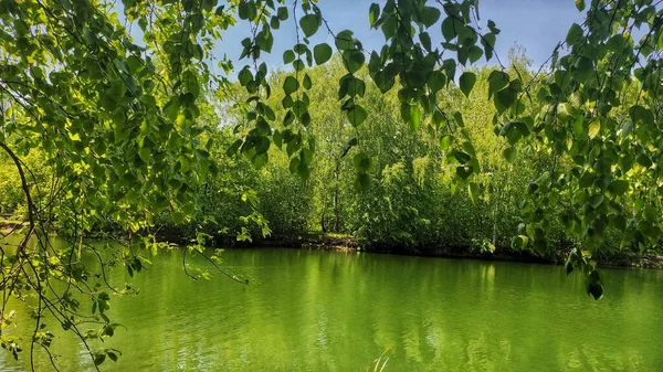 Ruhiger Dorfsee Umgeben Von Wunderschöner Natur Region Nischni Nowgorod Russland — Stockfoto