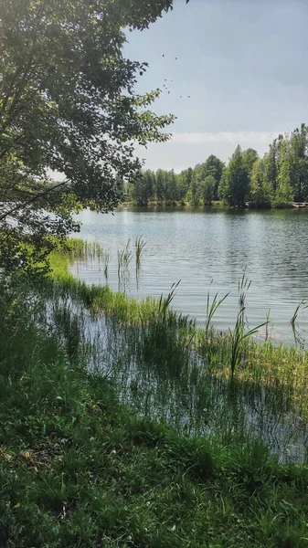 Ruhiger Dorfsee Umgeben Von Wunderschöner Natur Region Nischni Nowgorod Russland — Stockfoto