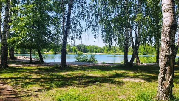 Klidné Vesnické Jezero Obklopené Krásnou Přírodou Nižný Novgorodský Kraj Rusko — Stock fotografie