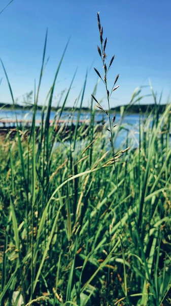 Die Malerische Marina Und Der Ruhige See Das Dorf Tolokontsev — Stockfoto