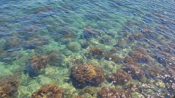 Svarta Havets Klara Vatten Foros — Stockfoto