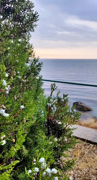 Прекрасний Вид Чорне Море Форос — стокове фото